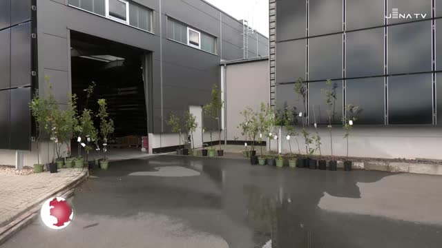 Neue Bäume – CBV Blechbearbeitung bepflanzt Streuobstwiese