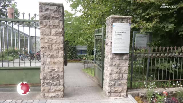 Growth Potential – Skulpturen von Lisa Hopf im Botanischen Garten