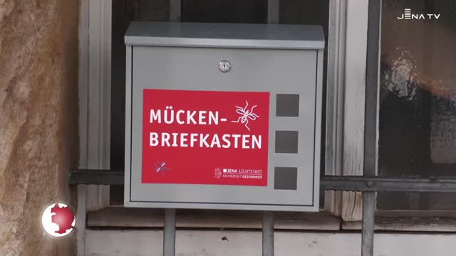 Mückenbriefkasten – Keine potentiell gefährlichen Arten gefunden