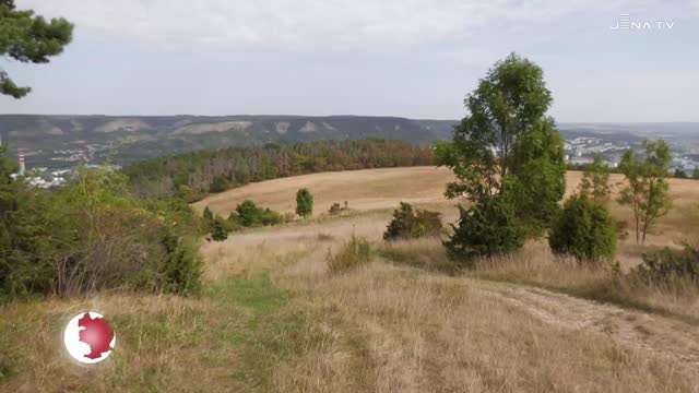 Waldbrandgefahr – Wälder und Wiesen leiden unter Trockenheit