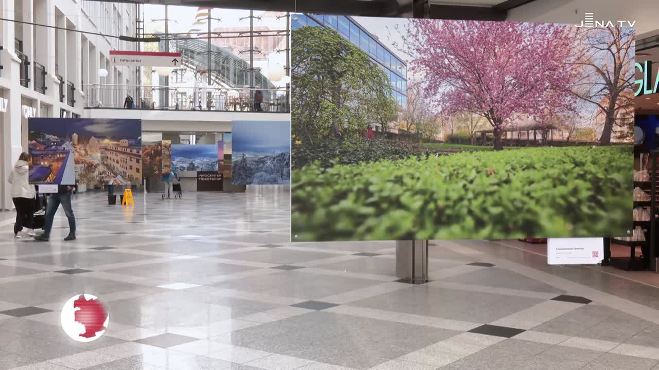 Benefizkalender – Ausstellung „Bilder sagen mehr als Worte“ in der Goethe Galerie