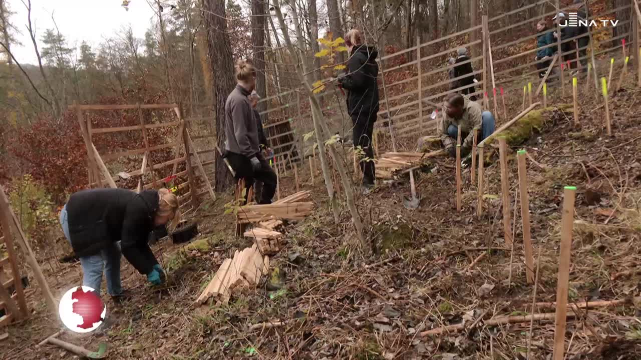 Münchenrodaer Grund: 100 Helfer pflanzen 250 klimastabile Bäume