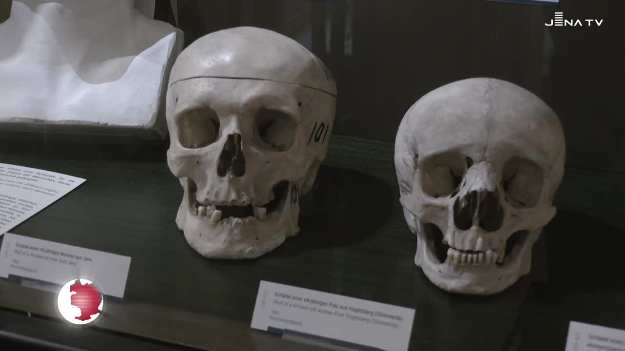 Anatomische Sammlung - Herkunft der Präparate klären