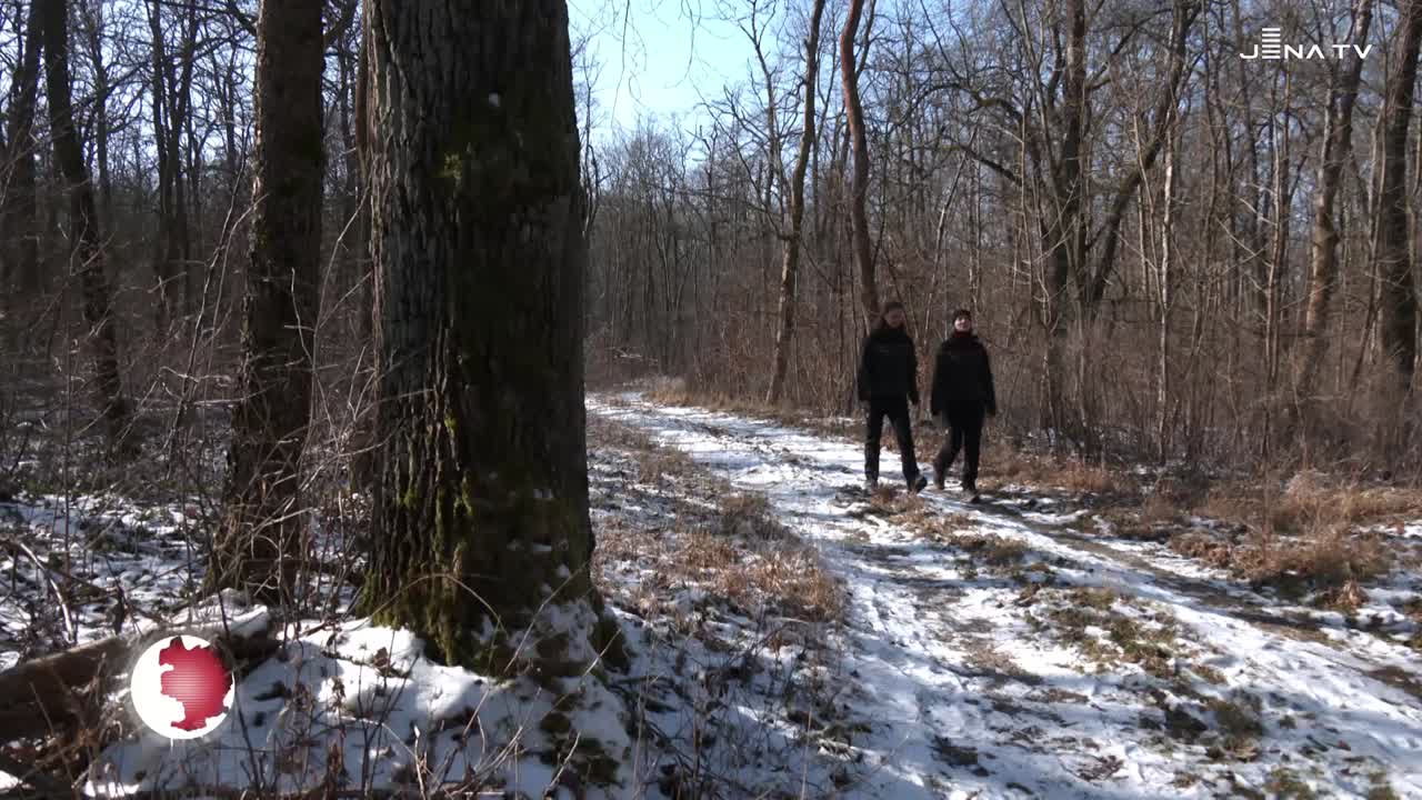 Wald im Winter – Was bedeutet ein frostiger oder milder Winter für das Leben im Wald?