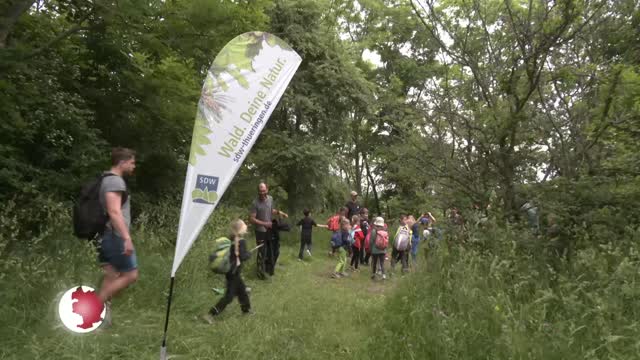 Waldjugendspiele –Schutzgemeinschaft Deutscher Wald will Kinder für den Wald begeistern