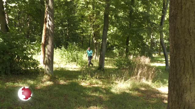 Risikogebiet – Robert-Koch-Institut warnt vor Zeckenkrankheiten