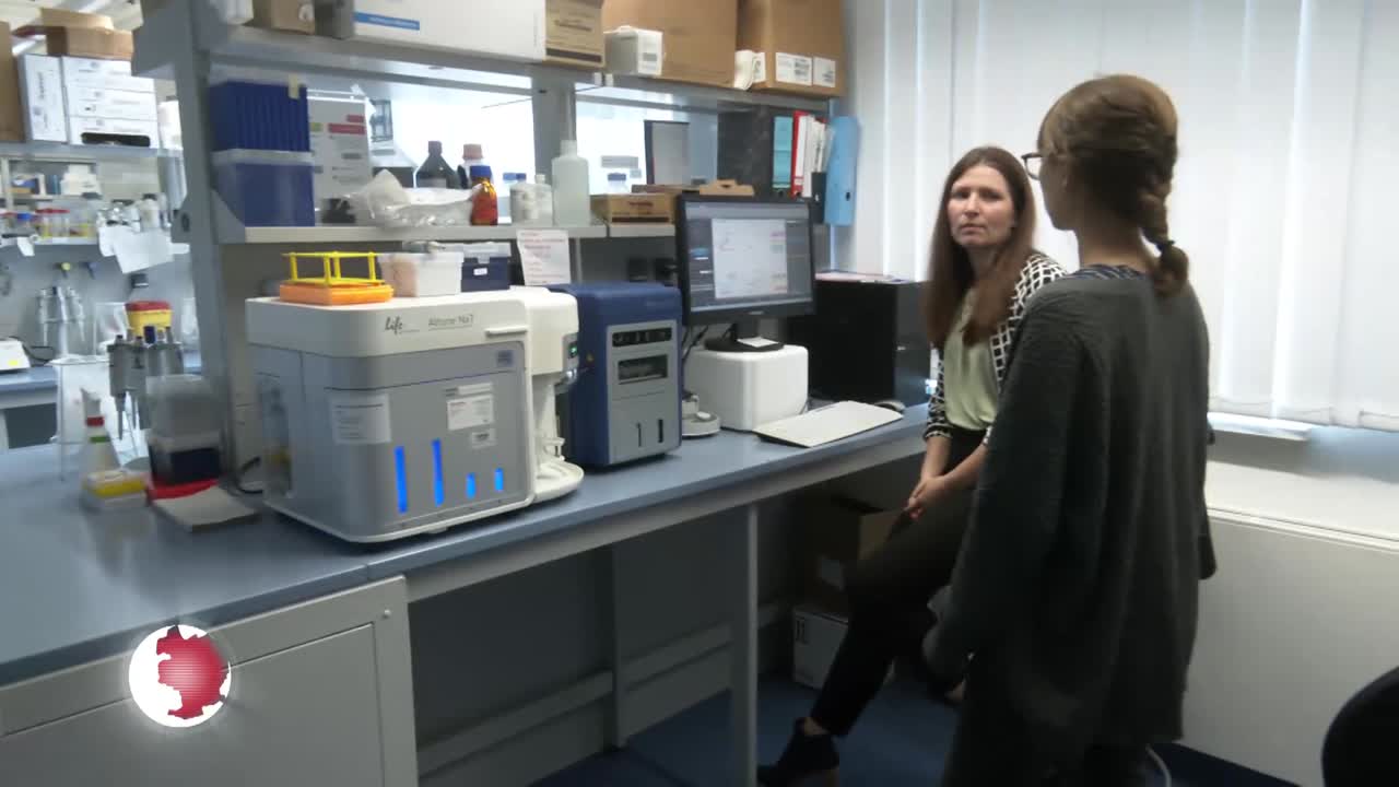 Tierschutzpreis – Forscherinnen reduzieren Tierversuche