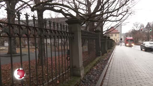 Pilzbefall – Botanischer Garten verabschiedet sich von Wahrzeichen