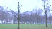 Fruehling im Winter