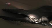 Naturkundemuseum Schüler Praktikum