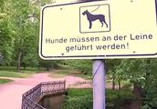 http://www.riesa-tv.de/nachrichten/Achtung_Hund_Achtung_Hundehalter-2513.html