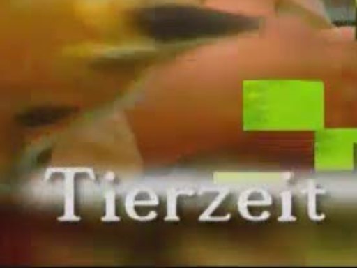Tierzeit-September Tierzeit-September