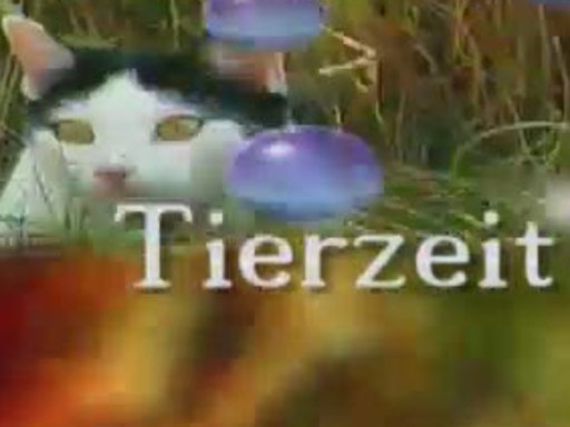 TierzeitNovember TierzeitNovember