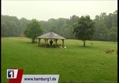 AKTUELL