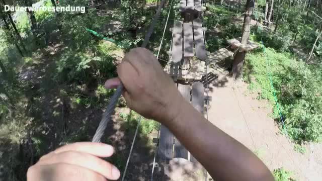 Kletterwald Koala Kletterwald Koala