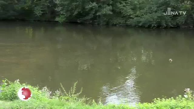 Kostbares Nass: Angesichts der Trockenheit brauchen auch Pflanzen mehr Wasser