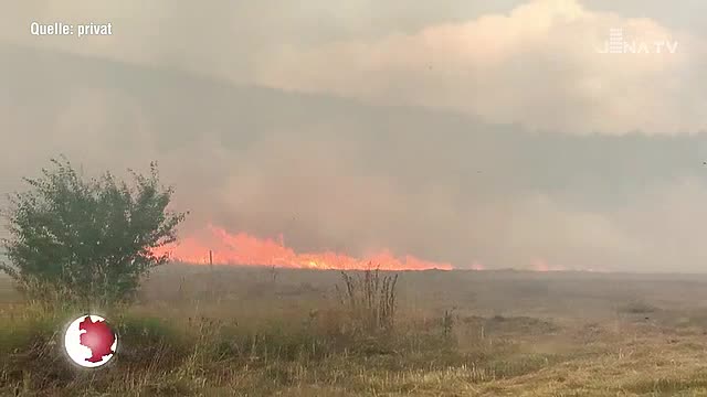 Wiese in Jena-Drackendorf brannte