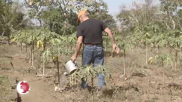 JenaJournal vom 21.09.2018