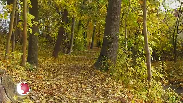 Ein Zuhause für Farben: Der Herbst in Jena zeigt sich von seiner schönsten Seite