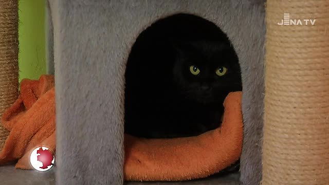 JenaJournal vom 04.01.2019