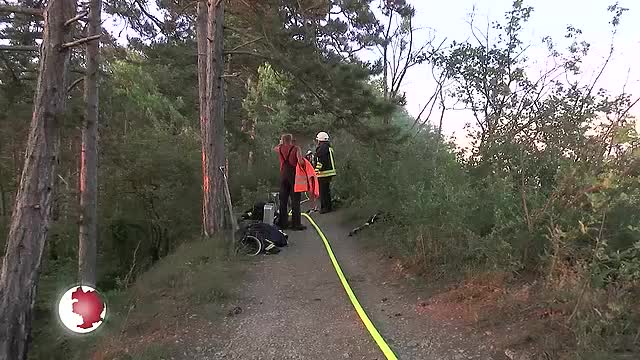 Großeinsatz der Feuerwehr bei Waldbrand an der Lobdeburg