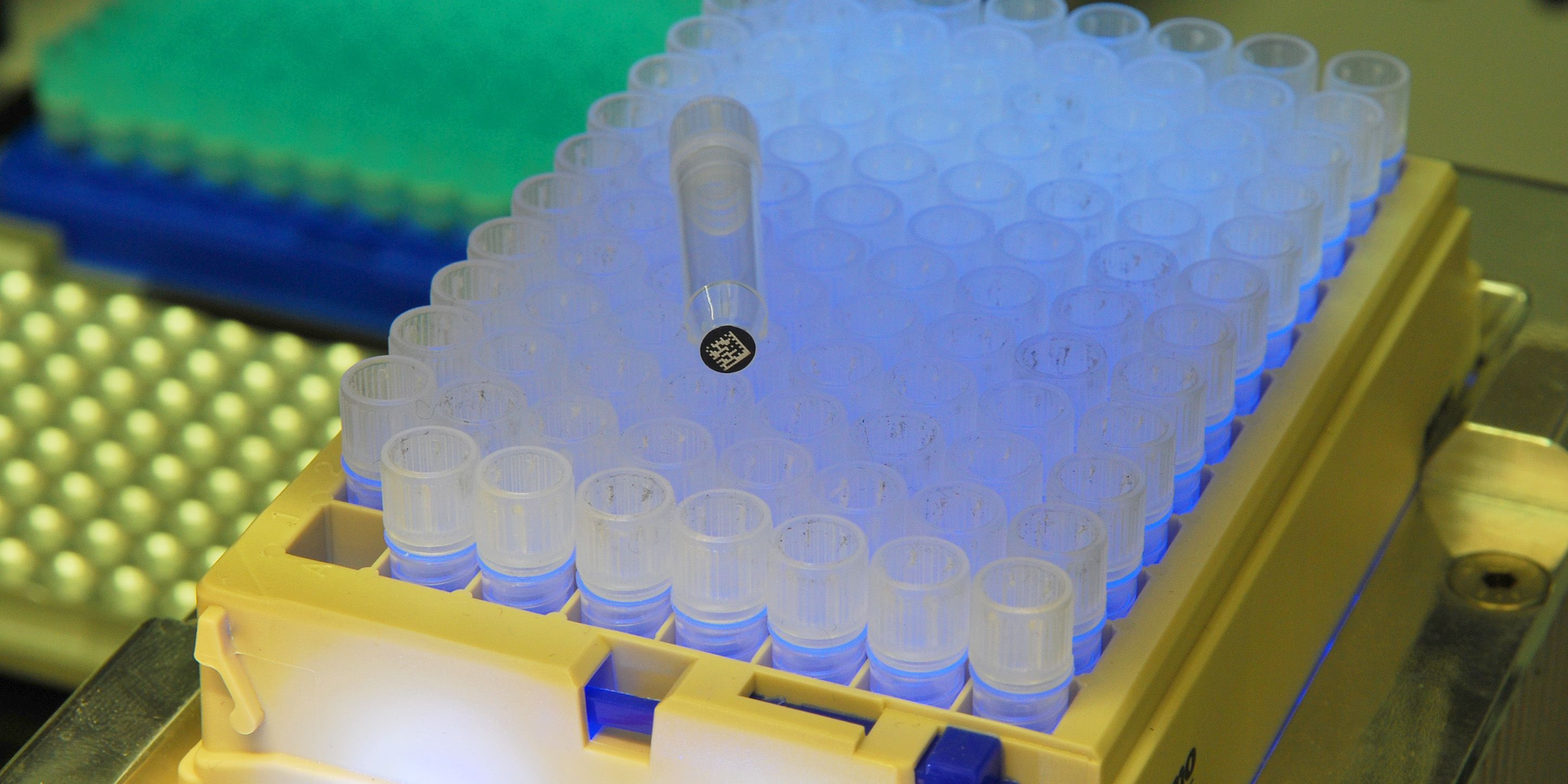 NUCLEUS Jena bekommt hochkarätig besetzten Beirat 