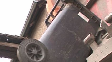 Tierische Küchenabfälle gehören in die Restmülltonne