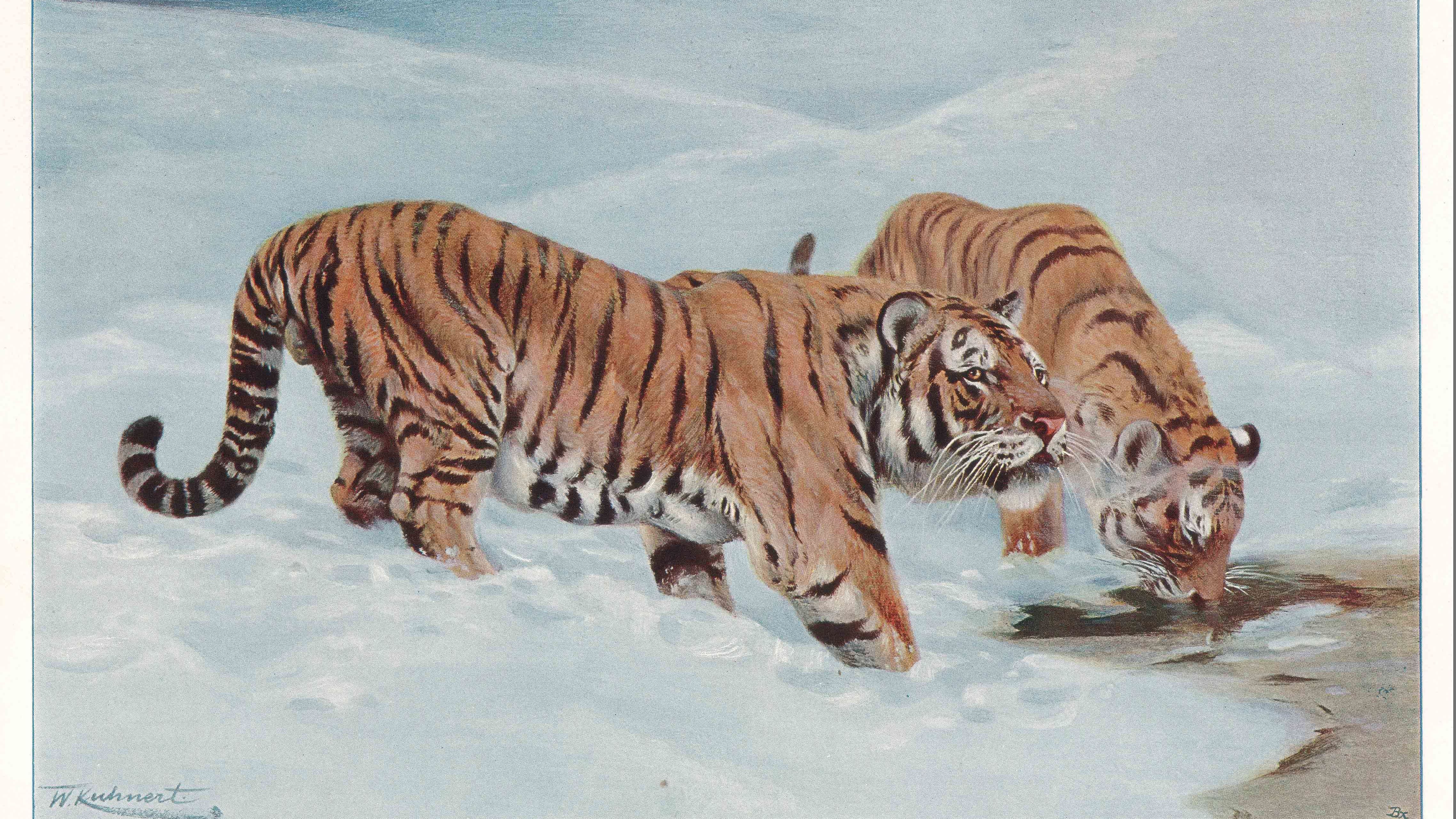 Ausstellungseröffnung im Bienenhaus 