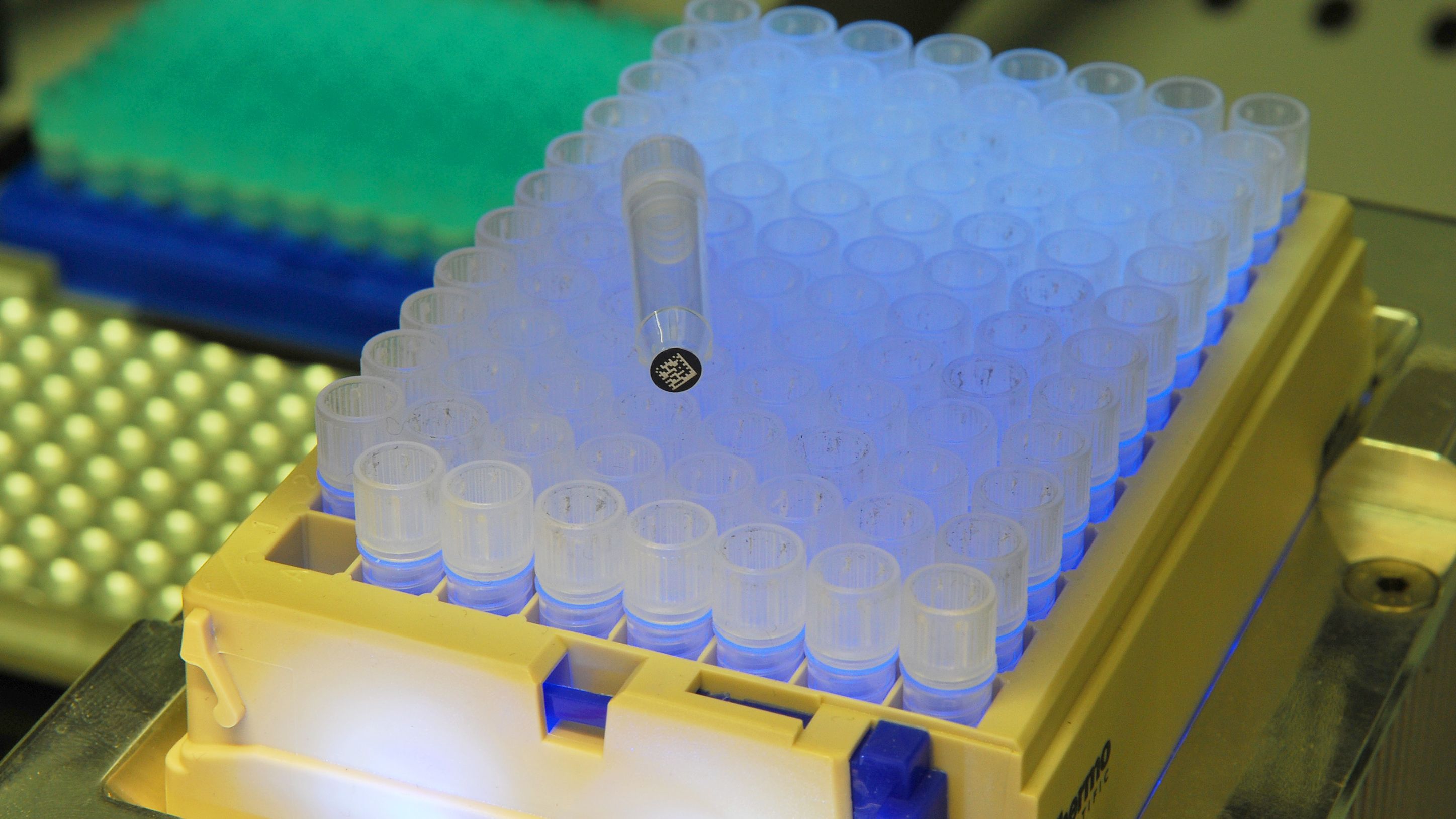 NUCLEUS Jena bekommt hochkarätig besetzten Beirat 