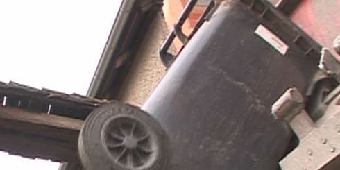 Tierische Küchenabfälle gehören in die Restmülltonne