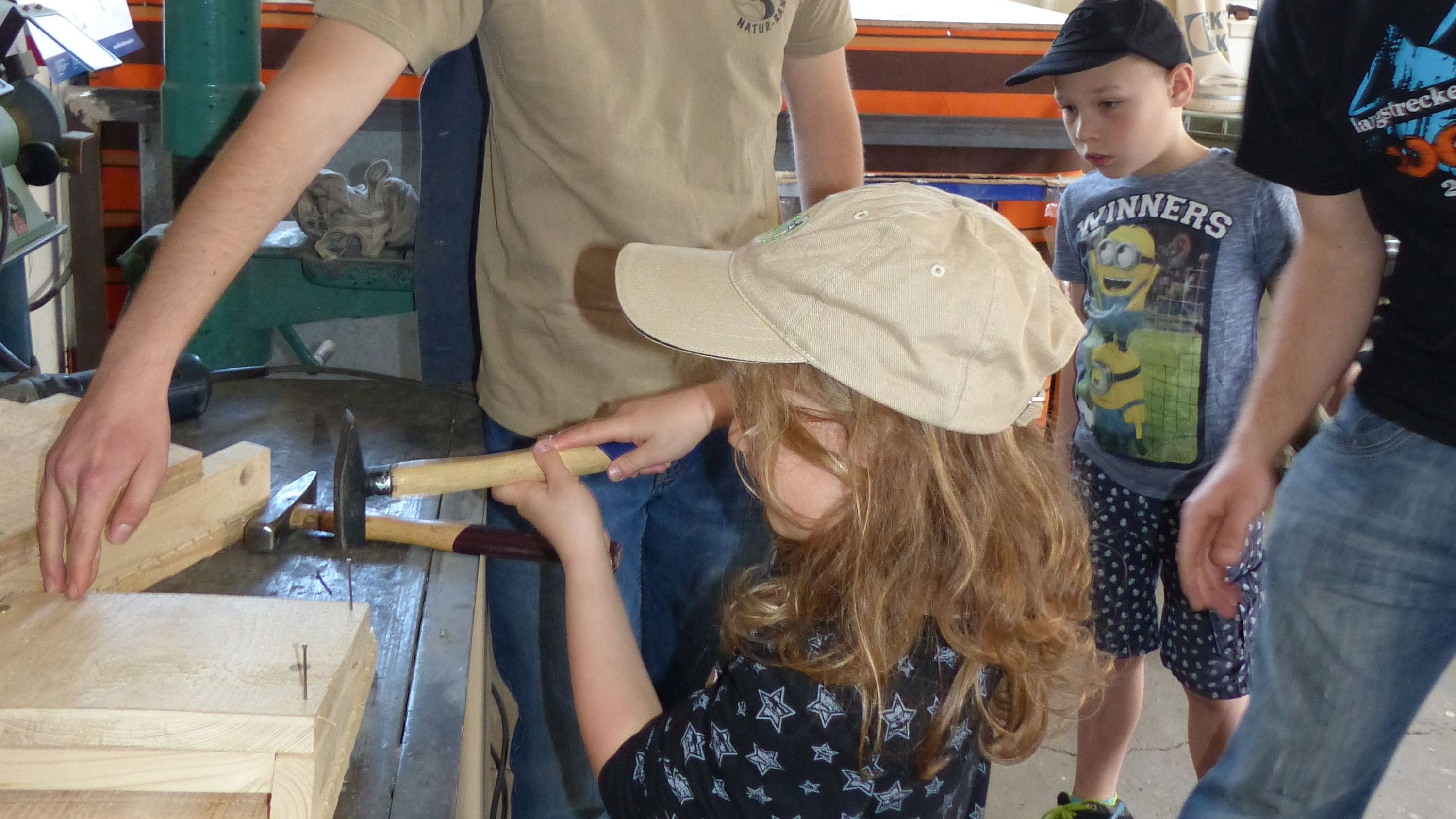 Ein Haus für Star und Fledermaus