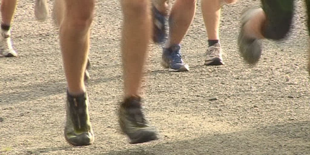 Obstwein-Wanderung im Reinstädter Grund