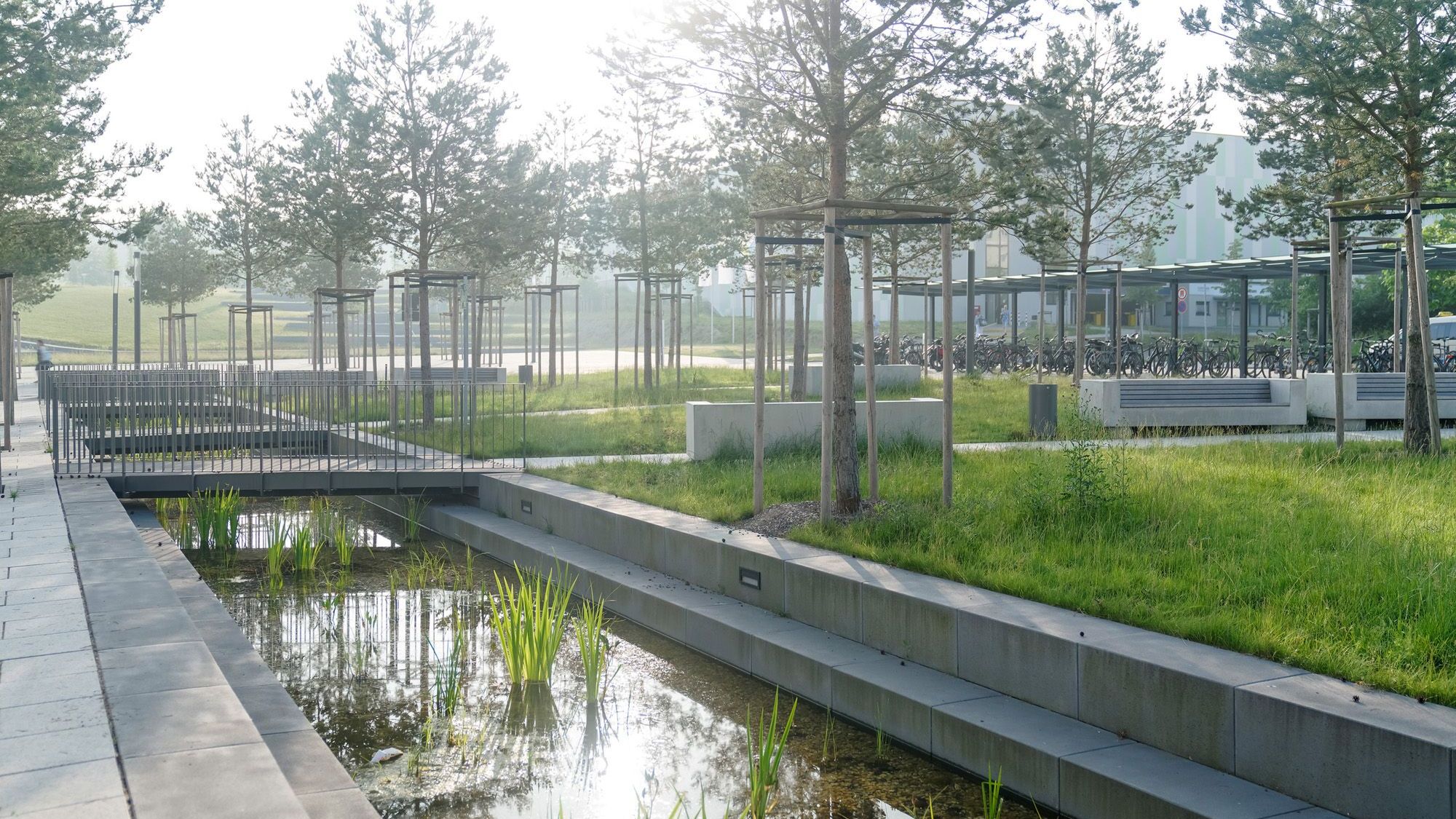 Grünanlagen rund um Klinikums-Neubau fertiggestellt