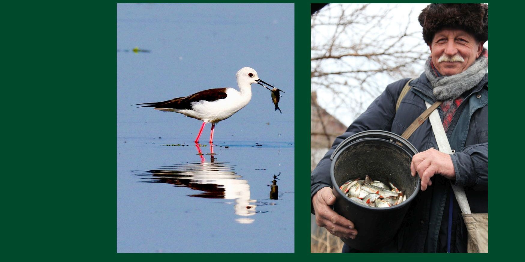 Reiseführer der besonderen Art