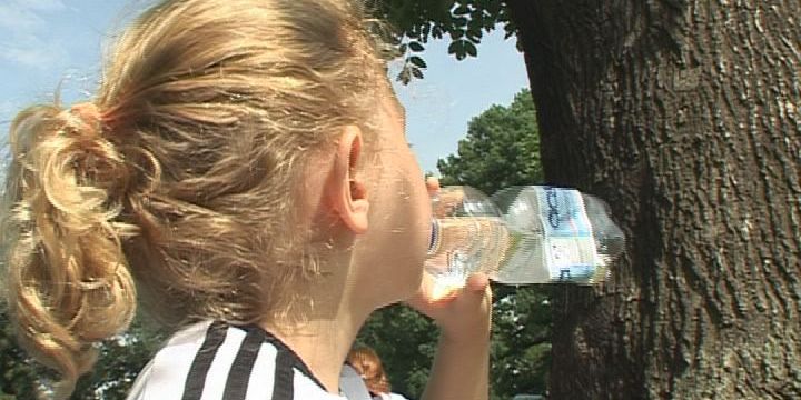 Hitzewelle: Tipps von Experten