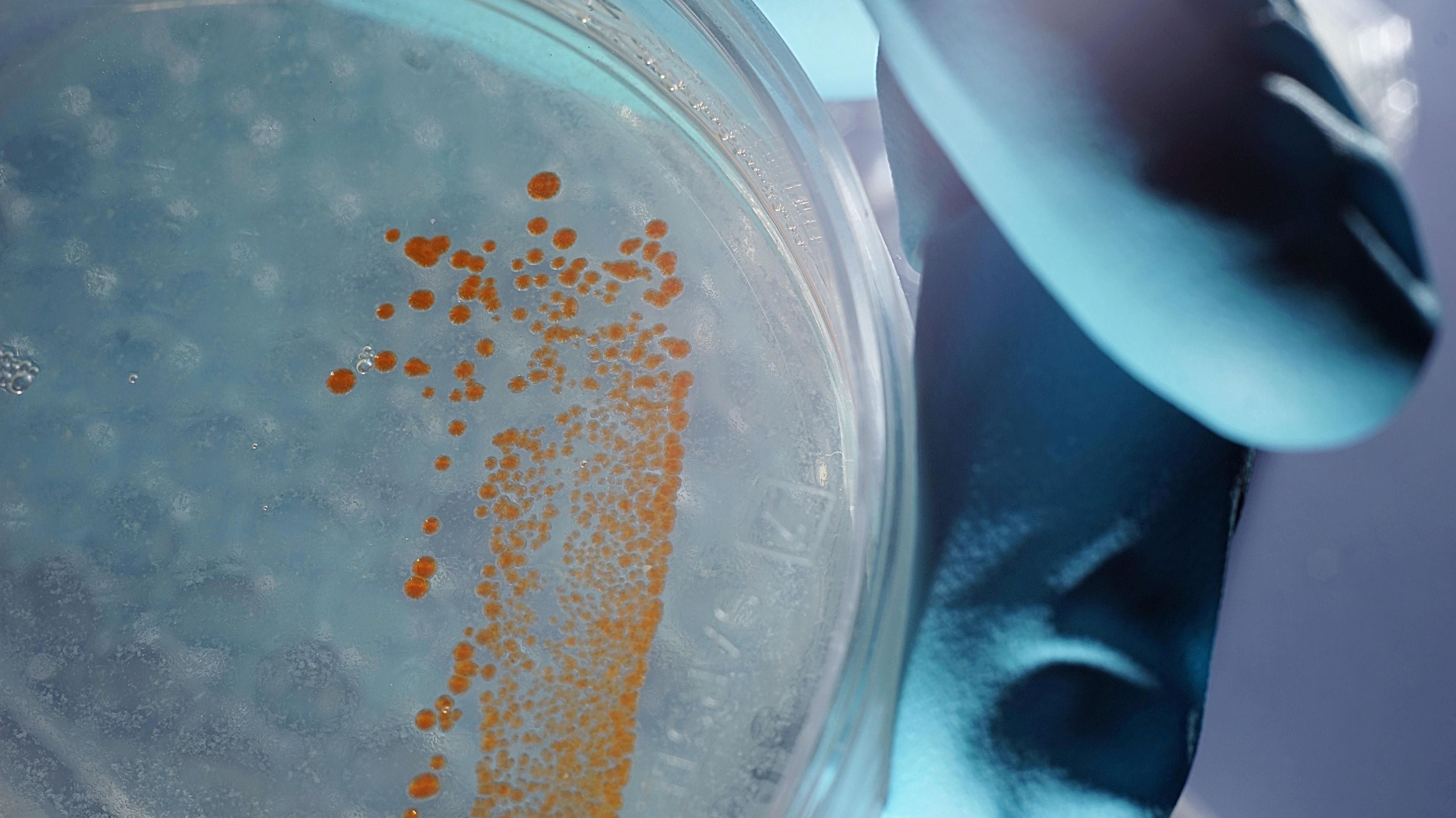 Neue Förderphase für chemisches Beziehungsgeflecht