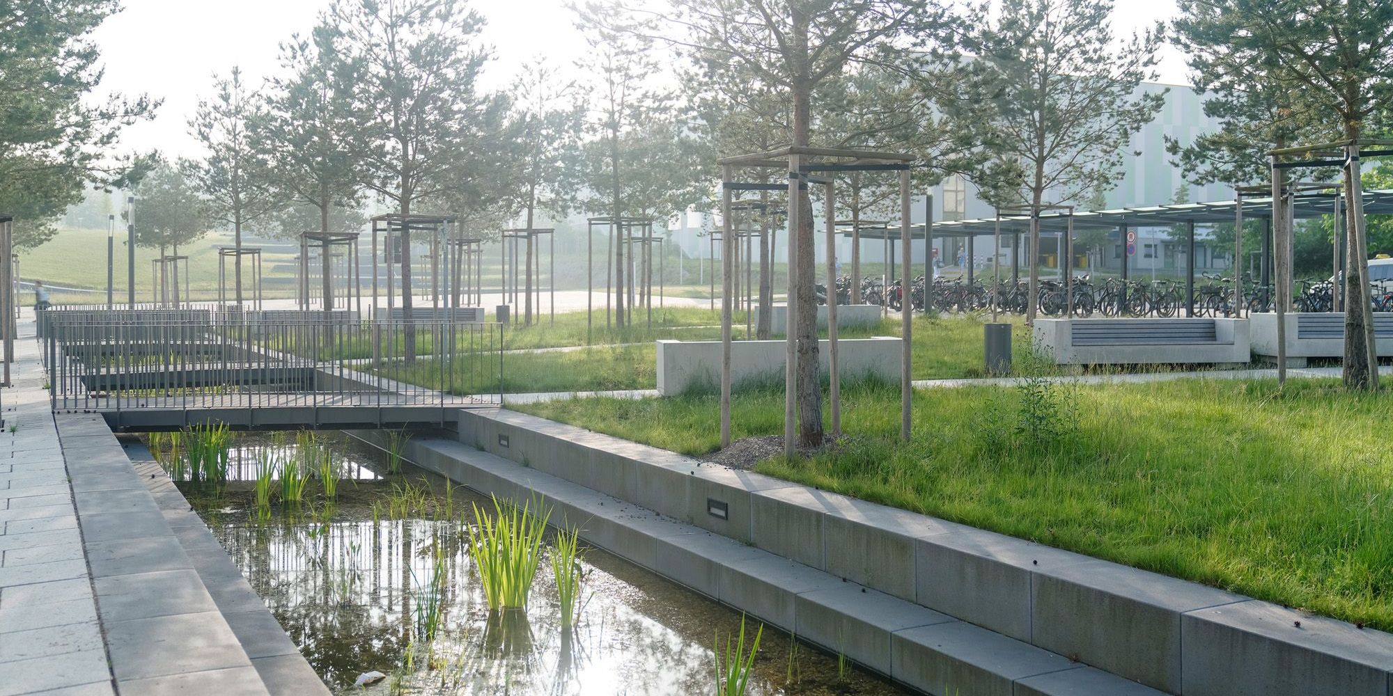 Grünanlagen rund um Klinikums-Neubau fertiggestellt