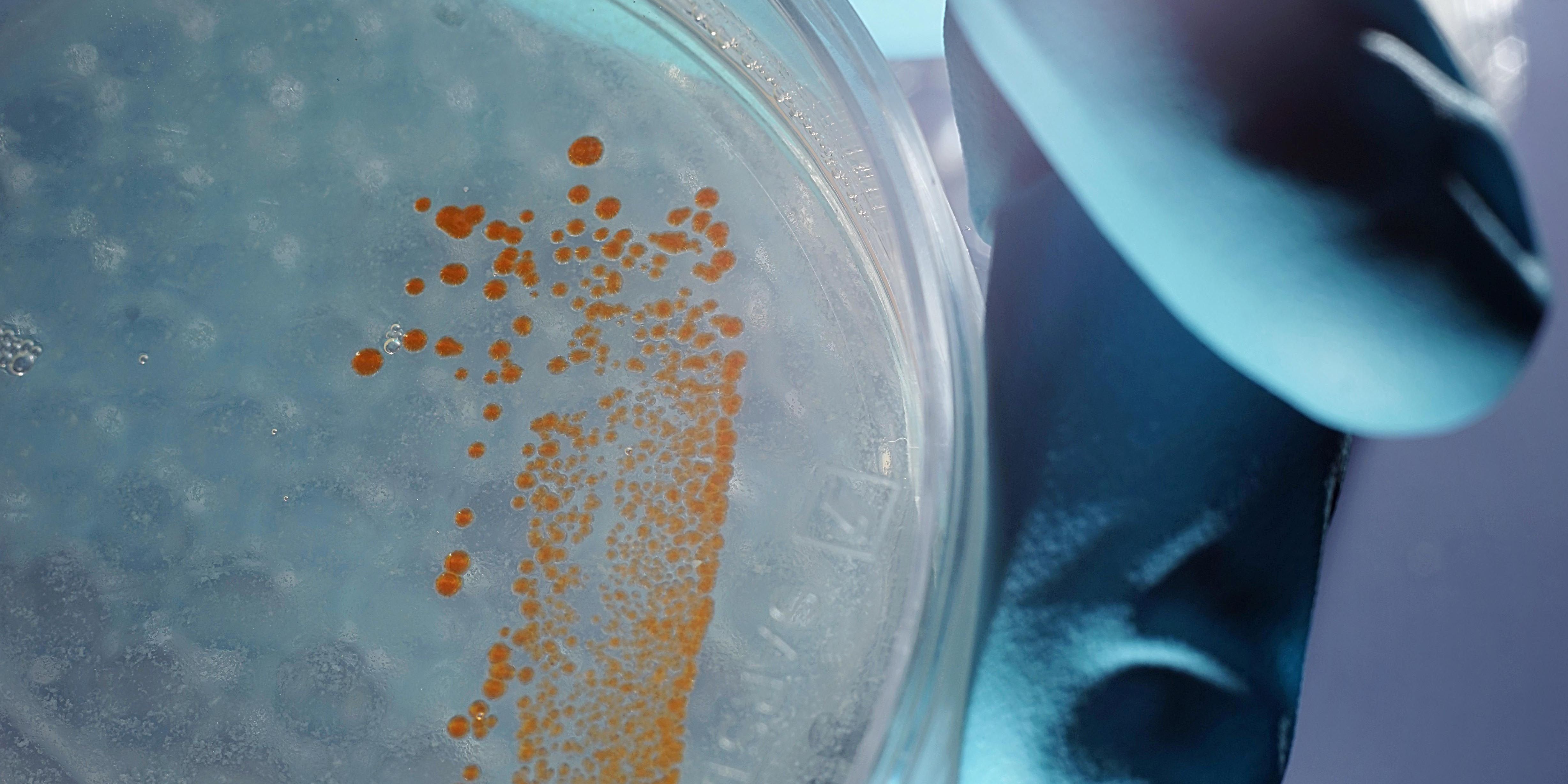 Neue Förderphase für chemisches Beziehungsgeflecht