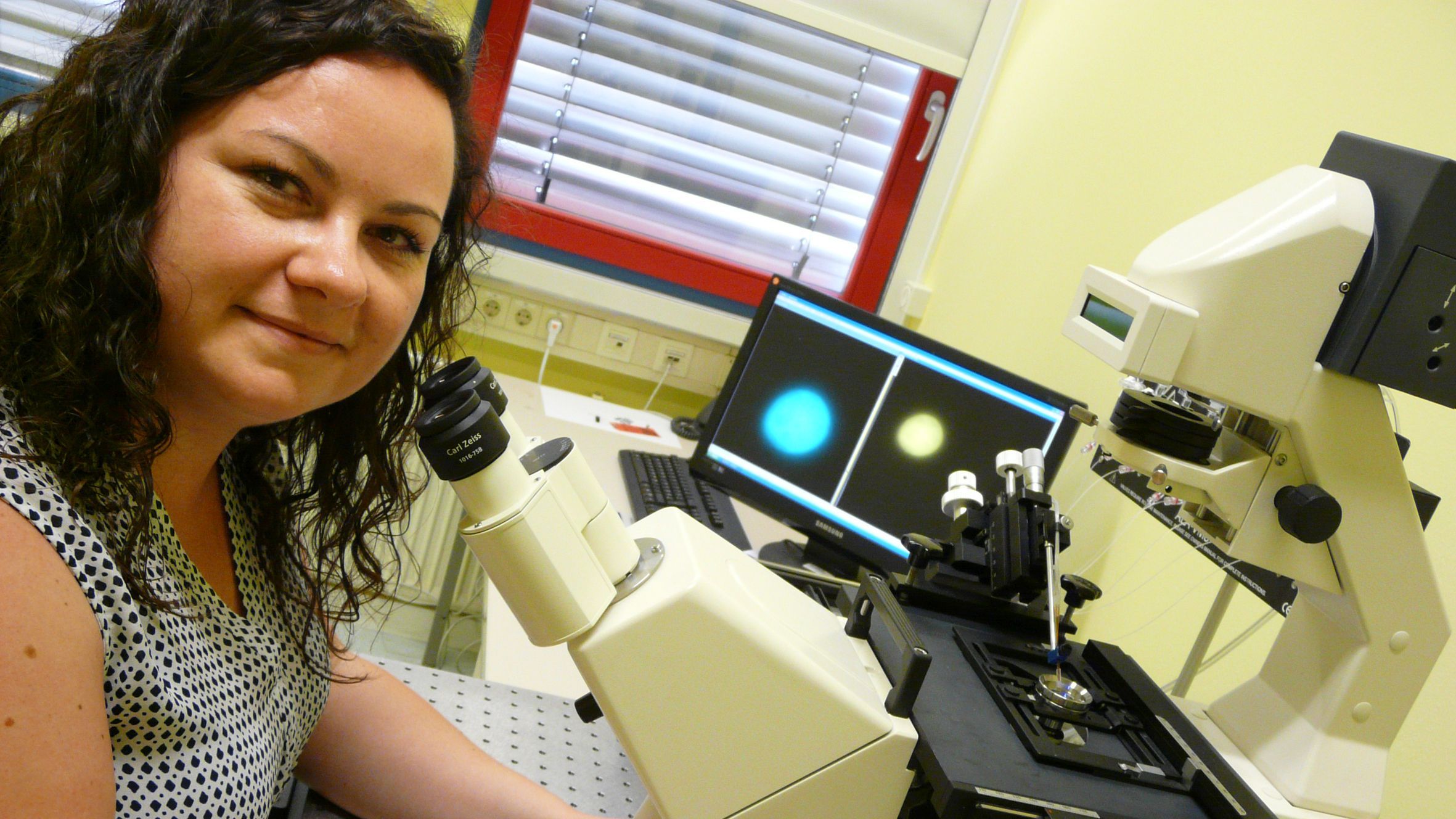 Internationale Schmerzmittel-Studie