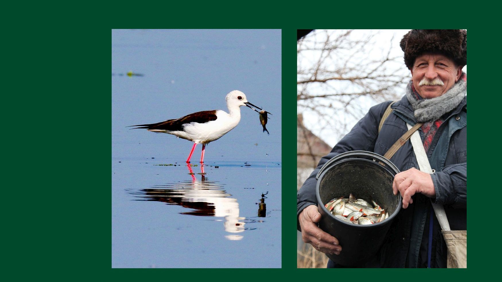 Reiseführer der besonderen Art
