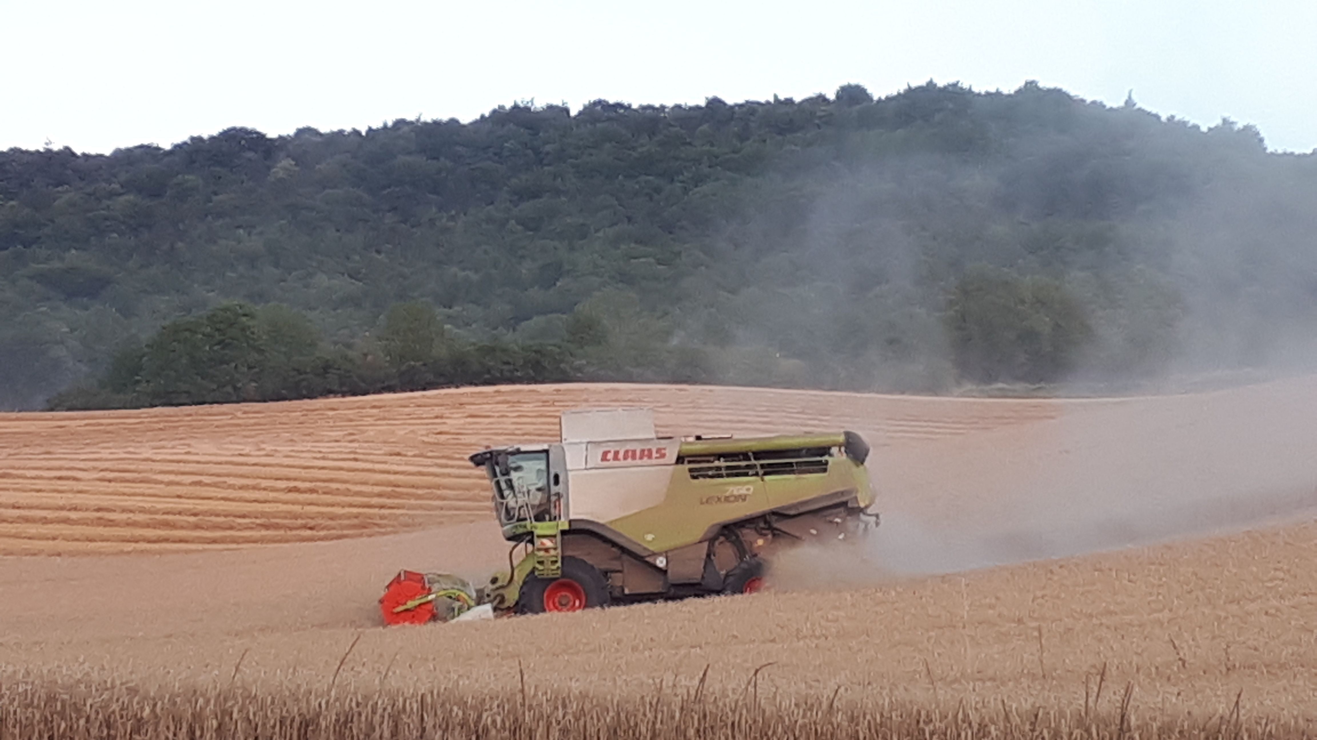 Dürre: Land prüft Hilfen für Landwirte