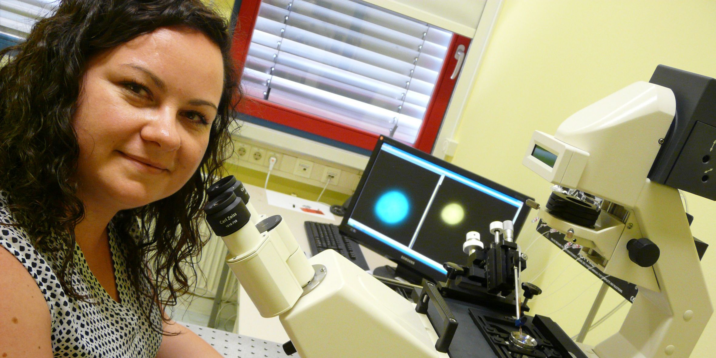 Internationale Schmerzmittel-Studie