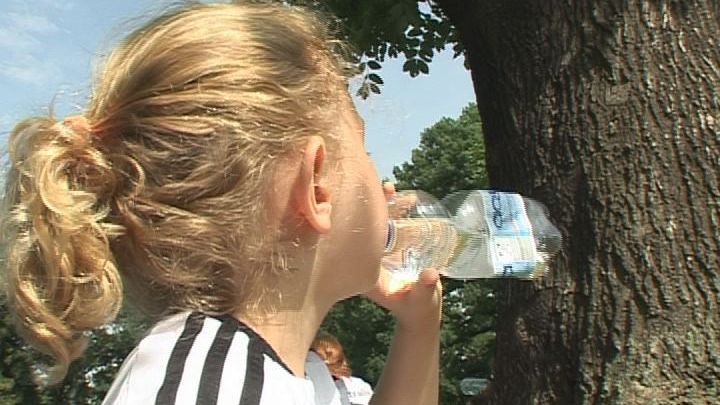 Hitzewelle: Tipps von Experten