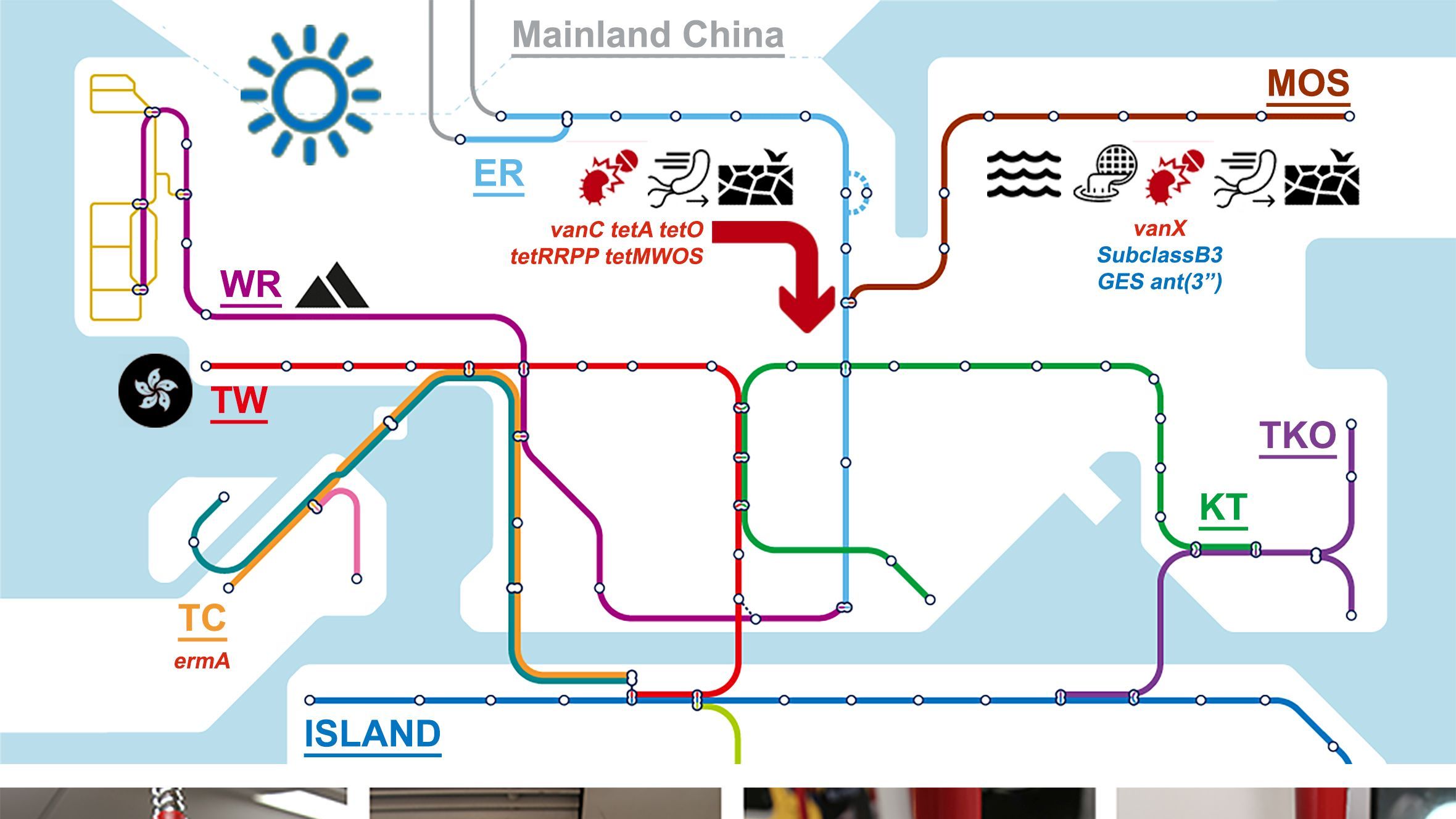 Jenaer Forscher untersuchten Bakterien-Gemeinschaften im U-Bahn-Netz von Hongkong 