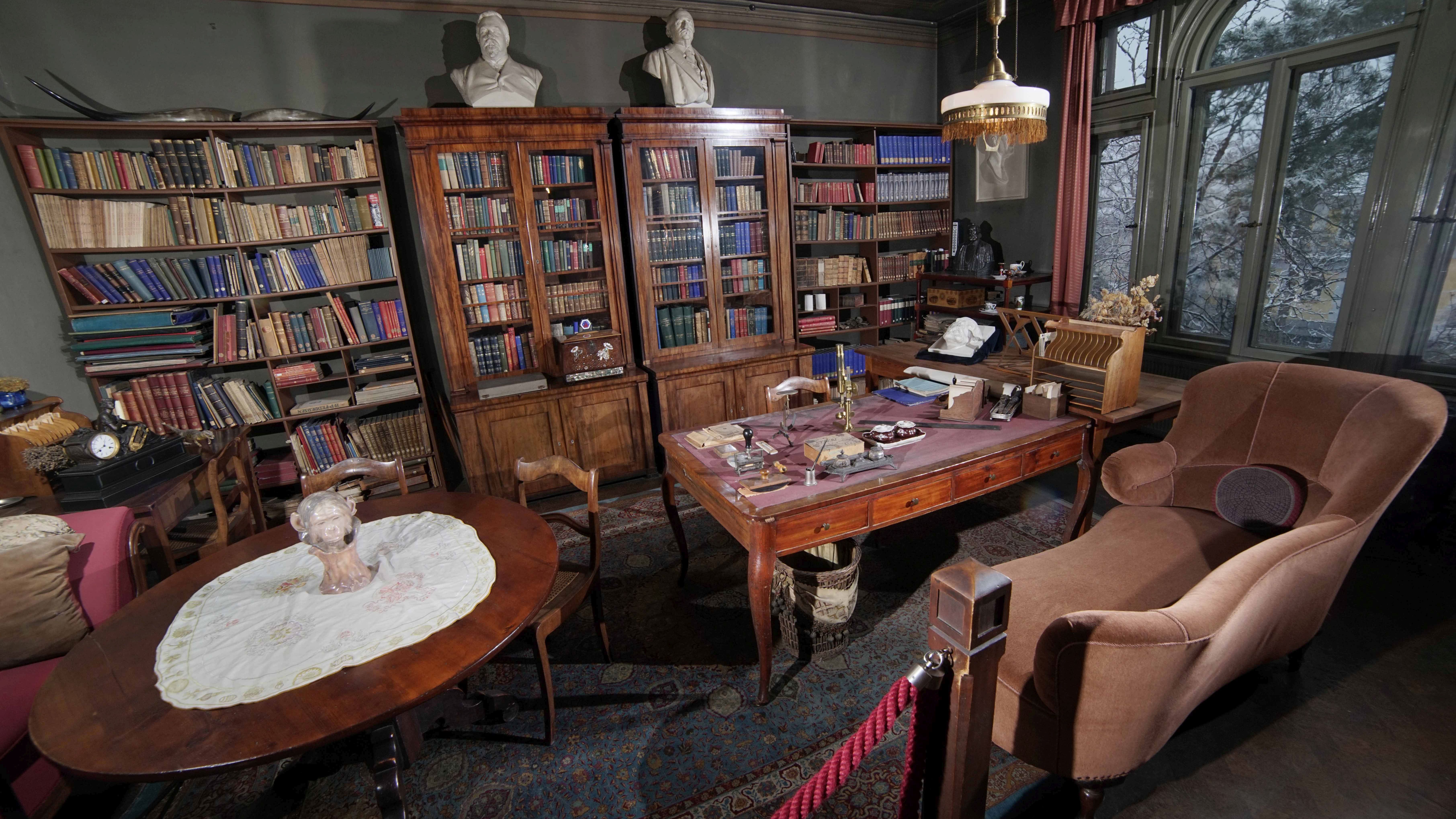 Unterstützung für Restaurierung des Ernst-Haeckel-Hauses 