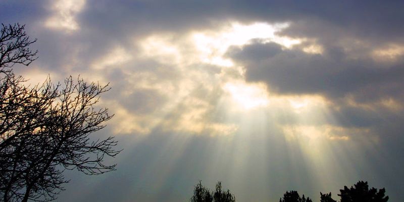Demenzwanderung: Zu Fürstenbrunnen und  Sommerlinde