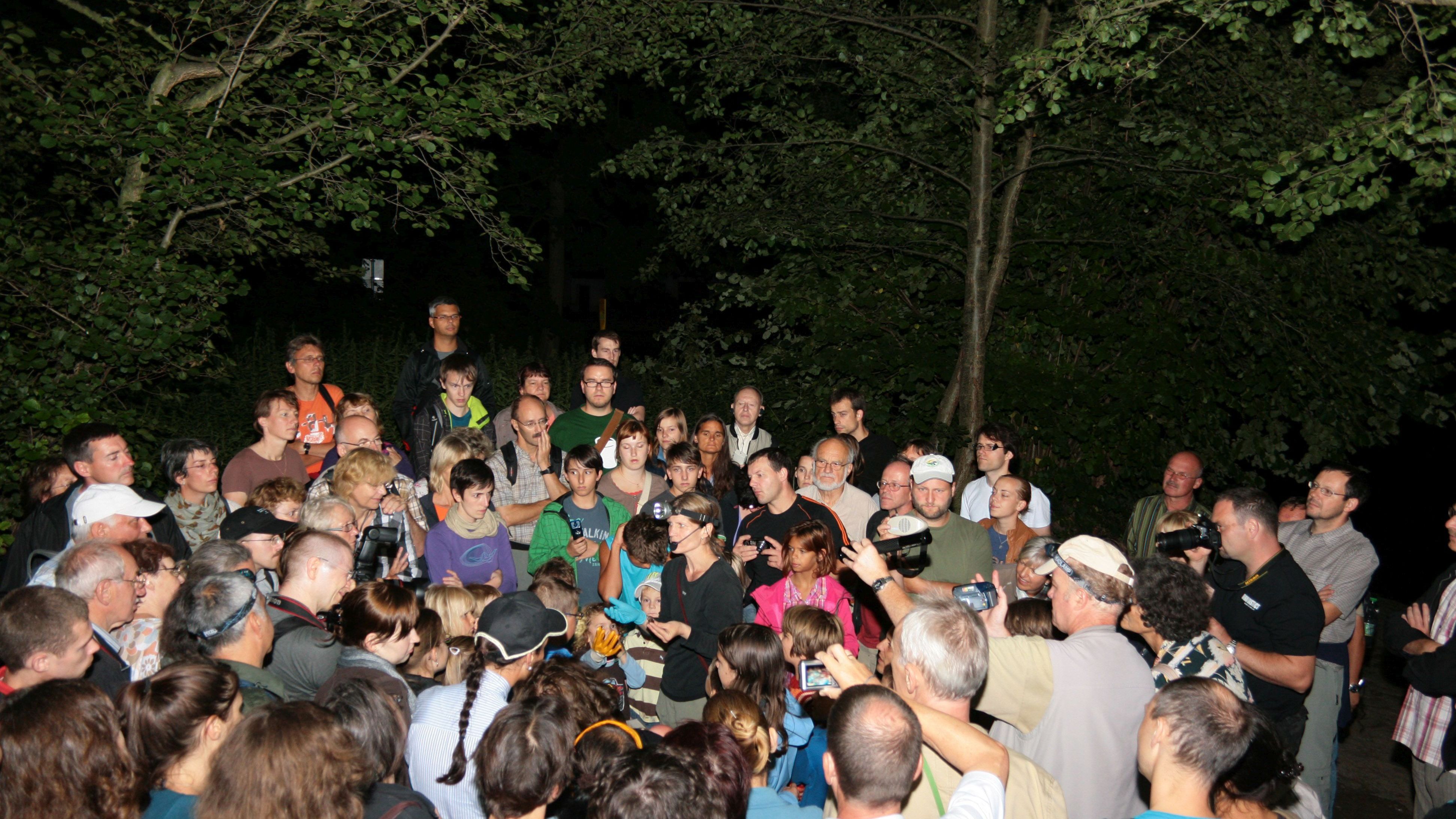 Jenaer Nacht der Fledermäuse am 1. September