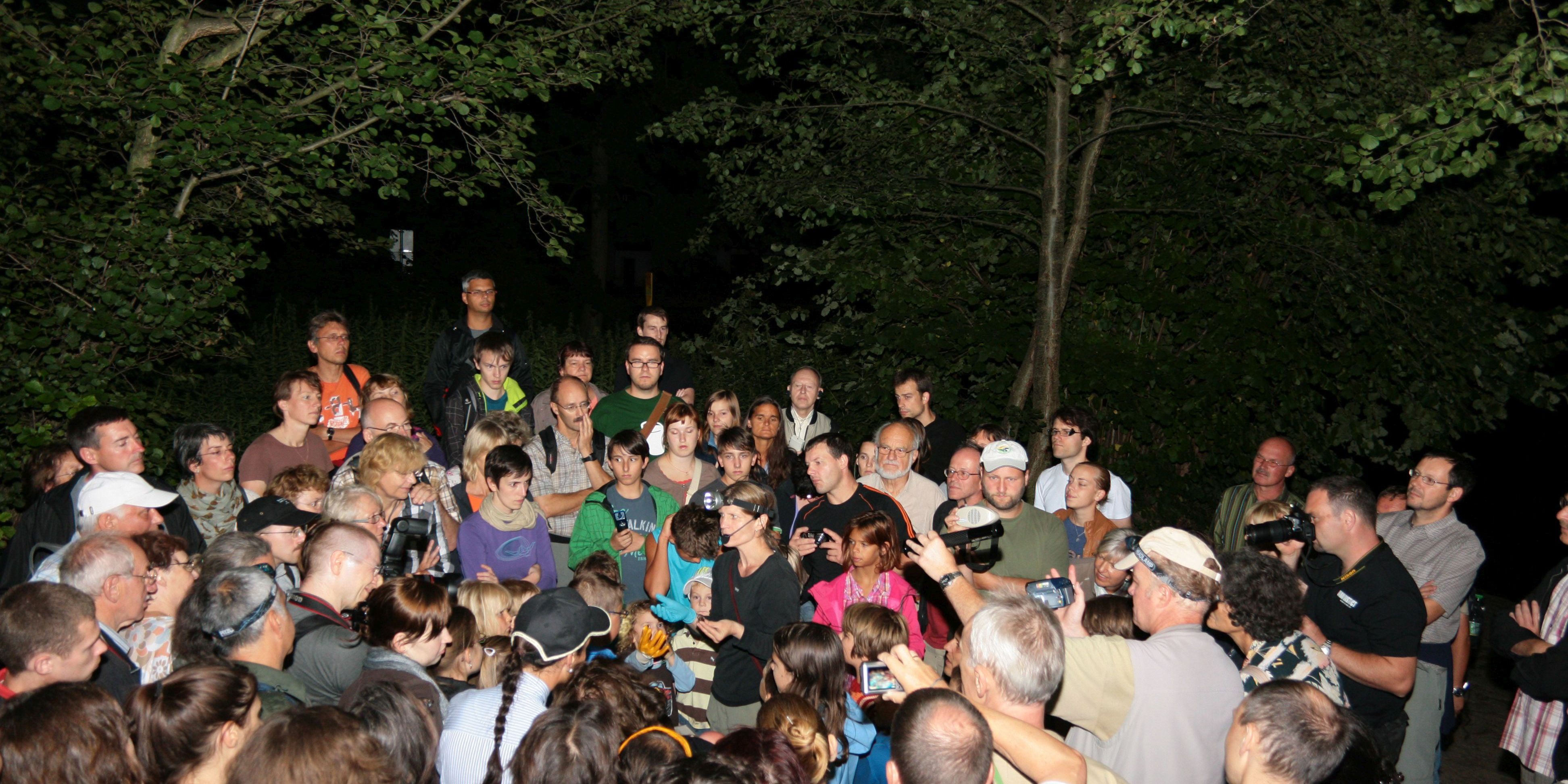 Jenaer Nacht der Fledermäuse am 1. September