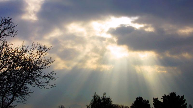 Demenzwanderung: Zu Fürstenbrunnen und  Sommerlinde