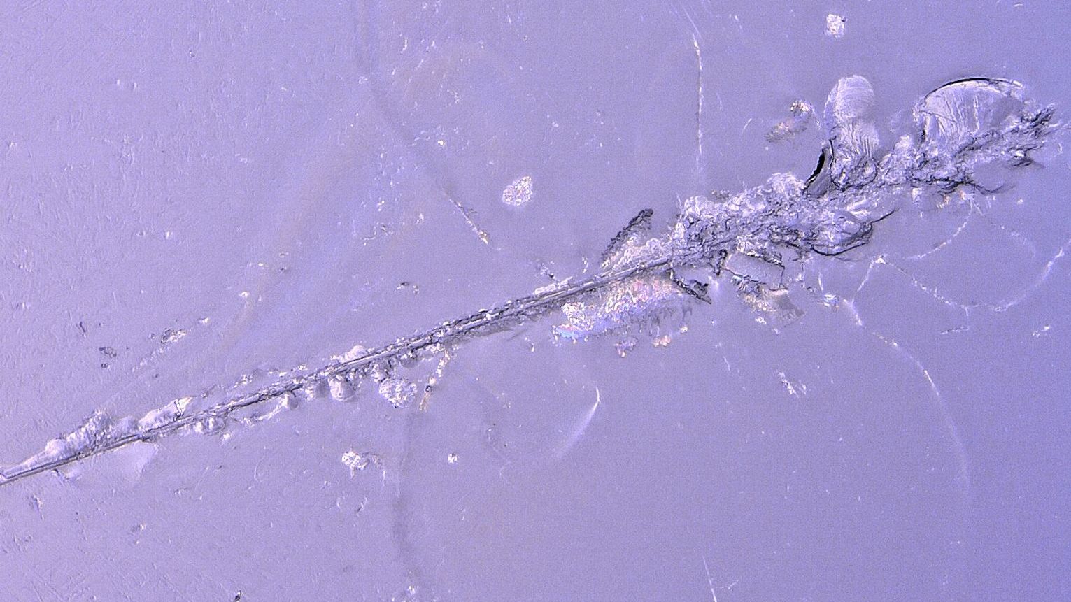 Ansätze für widerstandsfähigere Glasoberflächen 
